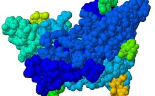 фолликулостимулирующий гормон