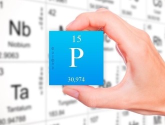 Высокий уровень неорганического фосфора говорит о развитии остеопороза