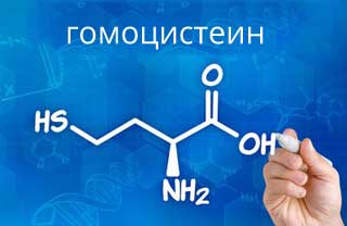 гомоцистеин