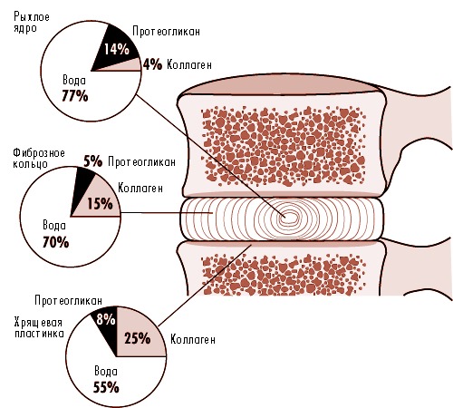 Подтягивания способствуют увеличению расстоянию между позвонками, снимая давление на диски позвоночника