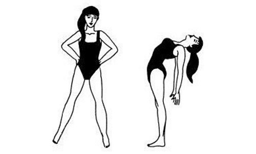 Ивовая ветка устраняет боли в спине