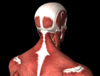 Учитывая характер боли и ее локализацию можно точно определить причину синдрома