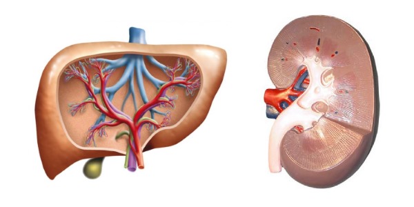 При почечной и печеночной недостаточности Дипроспан не назначают