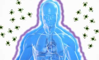 иммунная система