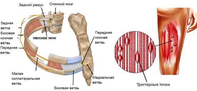 Применяют Флурбипрофен при различных неврологических и мышечных болях