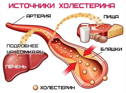 источник холестерина