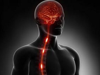 При передозировке камфорное масло влияет на ЦНС