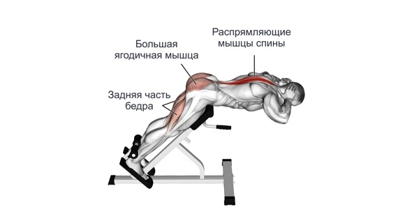 Обратите внимание на то, какие мышцы работают при выполнении гиперэкстензии