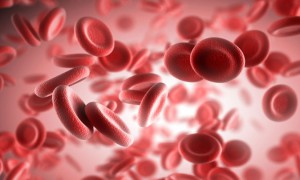 клетки крови