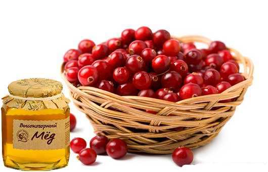 клюква и мед