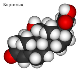 Кортизол