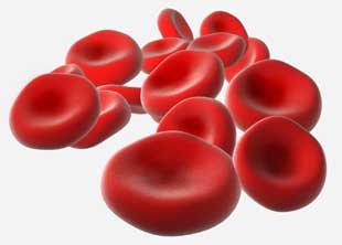 красные клетки крови