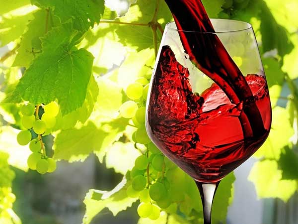 красное вино