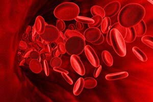 кровяные клетки