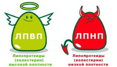 сравнение холестерина