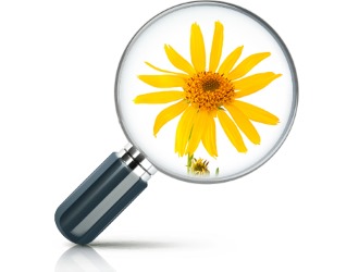 Средство для суставов имеет исключительно натуральный состав