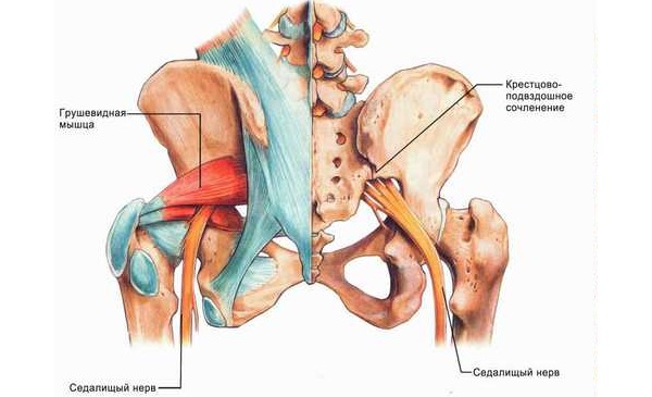 Спазмалин можно применять при невралгии, вызванной спазмом мышц