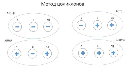 метод цоликлонов