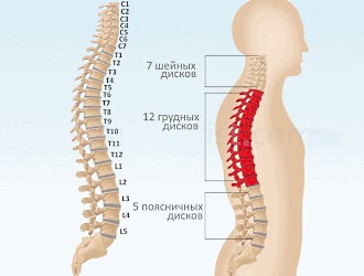 Профилактика смещения позвонков заключается в снижении нагрузки на позвоночник