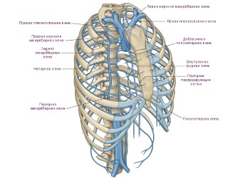 Межреберная невралгия чаще развивается во 2 и 3 триместре беременности