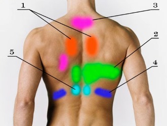 Чаще всего при дорсалгии боль локализуется в области лопаток