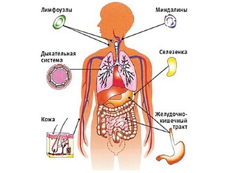 Бонефос имеет большое количество побочных эффектов