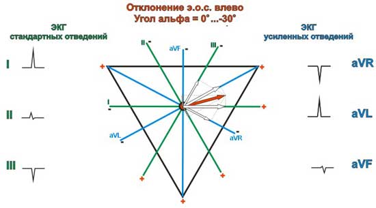оси сердцебиения