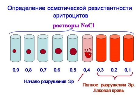 метод осмотической резистентности