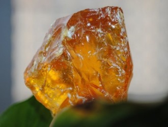 Единственное противопоказание к применению мази - это непереносимость живицы