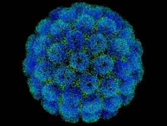 Полиомиелит был обнаружен еще в 19 веке