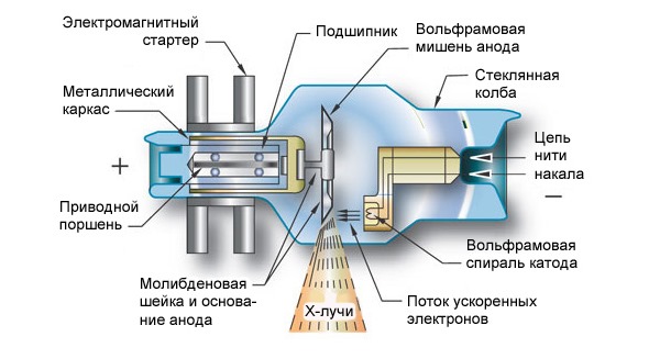 Строение рентгеноскопа и рентгеновской трубки