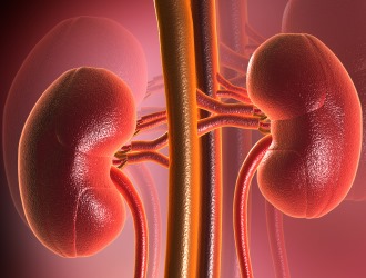 При почечной недостаточности нельзя применять Салвисар