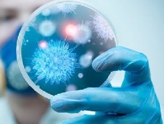 Паралитический тип вируса является наиболее опасным