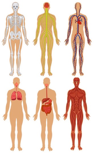 Так как препарат относится к группе стероидных средств ознакомьтесь с побочными эффектами Гидрокортизона