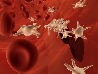 При приеме таблеток Купренил нужно следить за состоянием в крови тромбоцитов