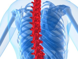 Томографию спины могут назначить при травмах, грыжах, остеохондрозе позвоночника