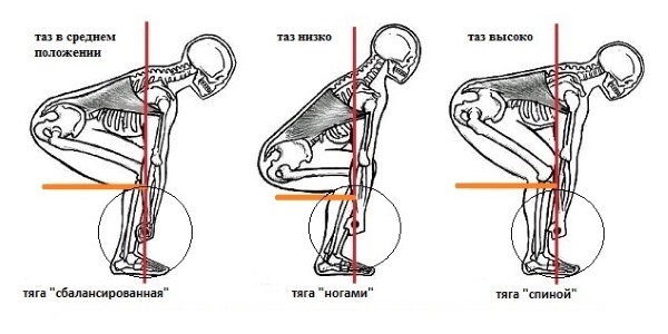 При выполнении становой тяги позвоночник испытывает наибольшую нагрузку