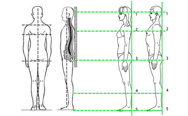 Чтобы проверить осанку можно прислониться к стене. Здоровое положение имеет 5 точек соприкосновения