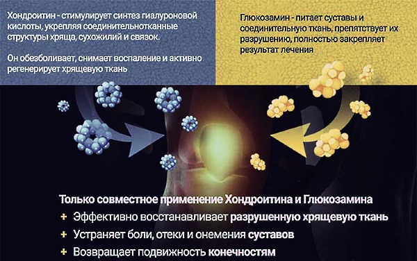 Особенность Пантофлекса - это наличие хондроитина и глюкозамина