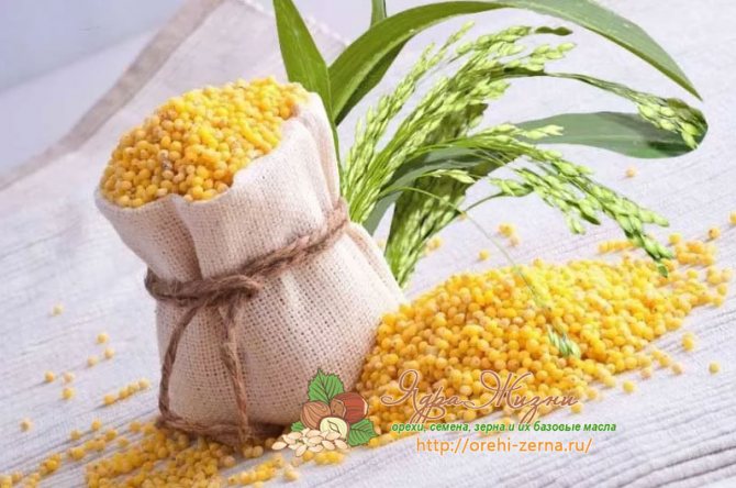 просо польза и вред для организма