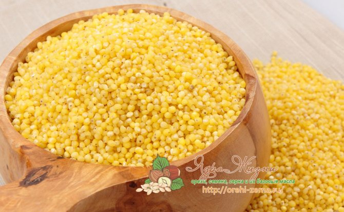 просо польза и вред