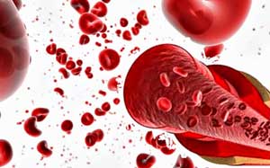 протромбин