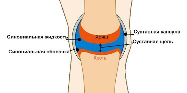Синвиск заменяет синовиальную жидкость в суставах