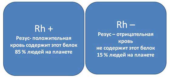 резус фактор