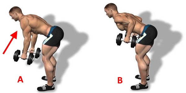 Данное упражнение относится к базовым для проработки толщины мышц спины