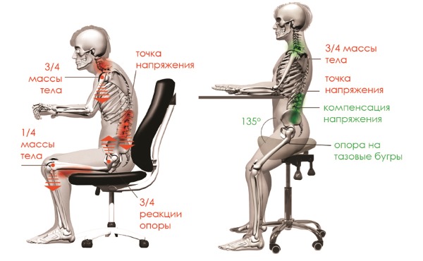 Стул-седло позволяет позвоночнику принять естественное положение