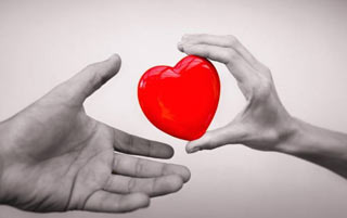 сердце в руках