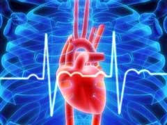 сердцебиение