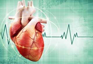 сердцебиение