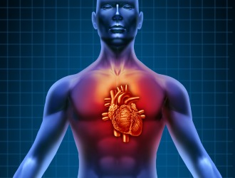 При некоторых сердечных патологиях прием Аркоксия противопоказан